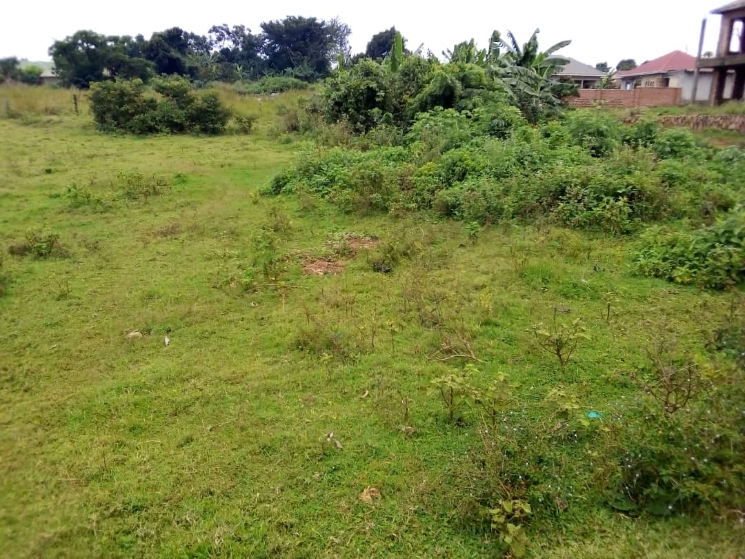 WhatsApp Image 2021-02-26 at 12.30.41 AM.jpeg